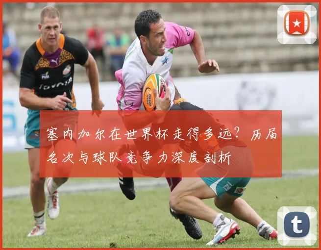 塞内加尔在世界杯走得多远？历届名次与球队竞争力深度剖析