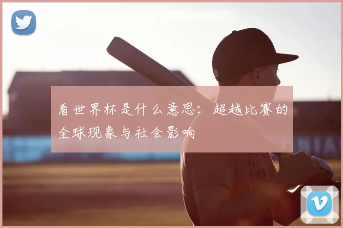 看世界杯是什么意思:超越比赛的全球现象与社会影响