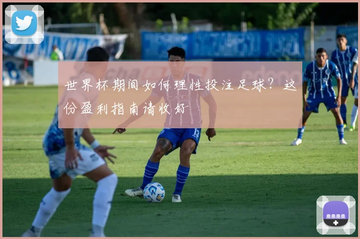 世界杯期间如何理性投注足球？这份盈利指南请收好